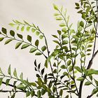 Faux Fern Branch