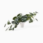 Faux Potted Green Leaf Plant