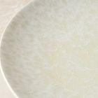 Oyku Stoneware Dinner Plate Sets