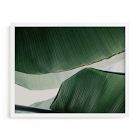 Leaf &amp; Light 4 Framed Wall Art by Minted for West Elm