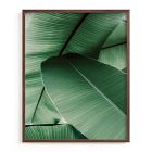 Tropical Leaves Framed Wall Art by Minted for West Elm