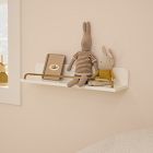Curved Polished Shelves (24" &ndash; 36")