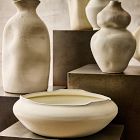 Organic Form Decorative Bowl