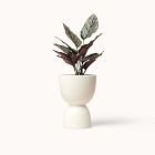 Franca NYC Stacked Planter