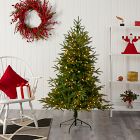 Faux Pre-Lit Colorado Mountain Christmas Tree (5'&ndash;7')