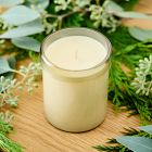 Field Kit - The Sauna Candle