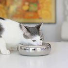 Catenary Halo Chrome Pet Bowl