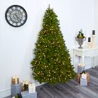 Faux Cambridge Christmas Tree (4'&ndash;7')