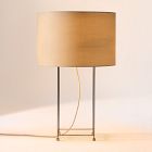 Naomie Silk Table Lamp (21")