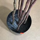 Open Box: Faux Potted Australian Bottleneck Tree (7')