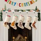 Felt Buddies in Lights Stocking Collection