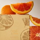 Garden Homescent Single Wick Candle - Pomelo &amp; Pine