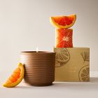Garden Homescent Single Wick Candle - Pomelo &amp; Pine