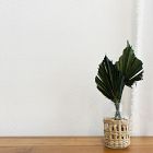 Tempaper Herringbone Unpasted Paperweave Wallpaper