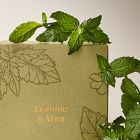 Garden Homescent Single Wick Candle - Jasmine &amp; Mint