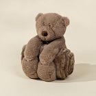 Coco Village Bear Plush Snuggling Blanket