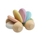 PlanToys Wooden Push Car