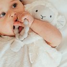 Wonder &amp; Wise Lamb Lovey