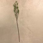 Open Box: Faux Rosehip Branch (57.1"H) - Green