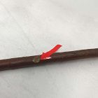 Open Box: Faux Rosehip Branch (57.1"H) - Green