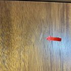Open Box: Mid-Century Armoire (38") - Acorn