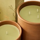 Garden Homescent Triple Wick Candle - Jasmine &amp; Mint