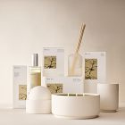 West Elm Homescent Room Spray - Mint Tea