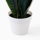Faux Potted Snake Plant