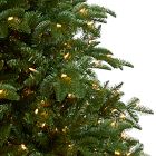 Faux South Carolina Spruce Christmas Tree (4'&ndash;8')