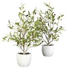 Faux Potted Tabletop Olive Tree - Set of 2