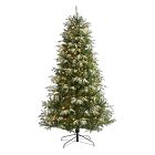 Pre-Lit Faux Snowed Grand Teton Christmas Tree (5'&ndash;7')