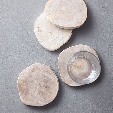 Petrified Wood Coaster Sets