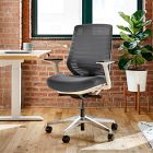 Branch Ergonomic Chair