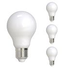 A19 LED Bulb